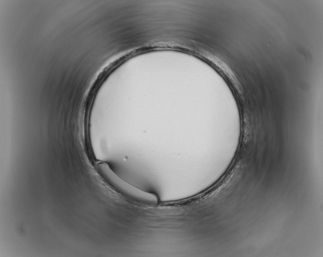 X0000112880984200910021350