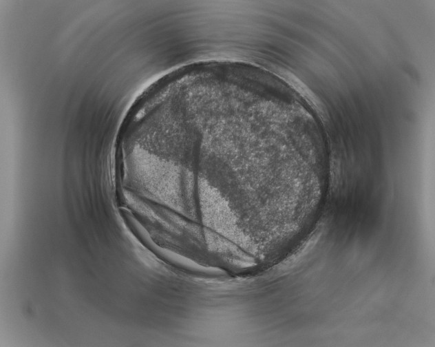 X0000112880988200910021350