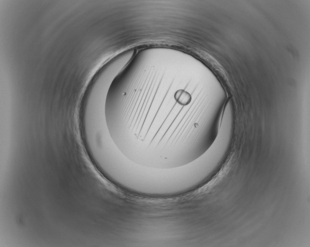 X0000112880989200910021350