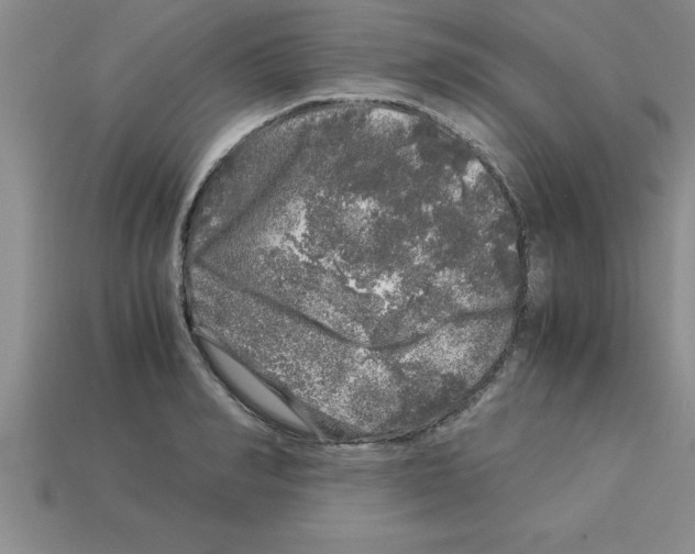 X0000112880990200910021350