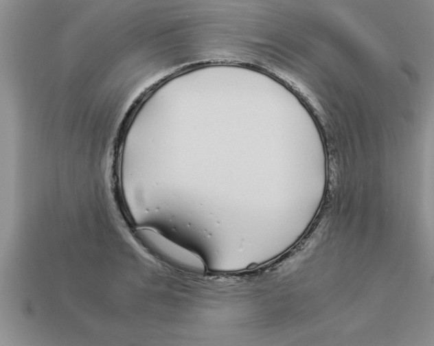 X0000112880991200910021349