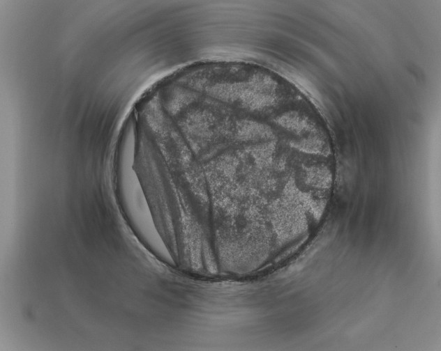 X0000112880992200910021349