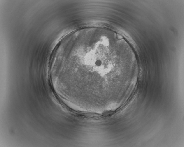 X0000112880994200910021349