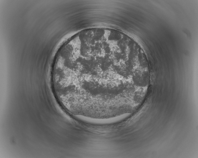 X0000112880995200910021349