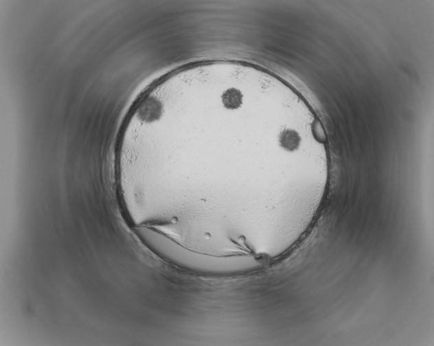 X0000112880996200910021349