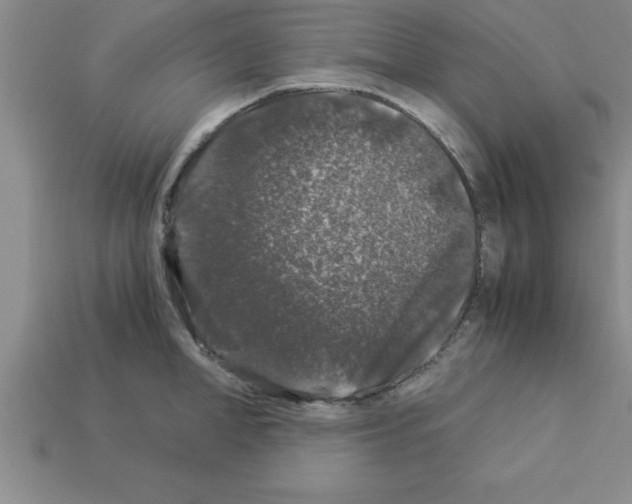 X0000112880998200910021349