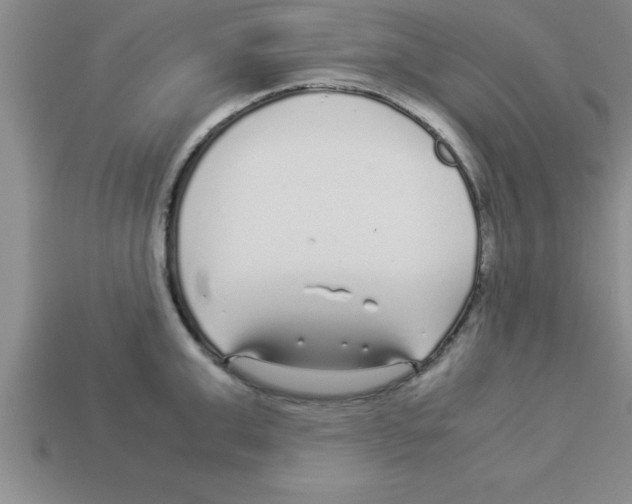 X0000112880999200910021349