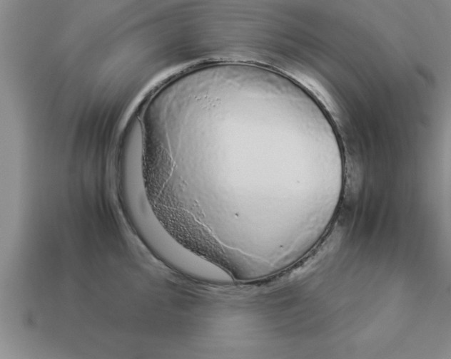 X0000112881000200910021349