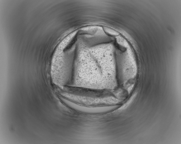 X0000112881001200910021349