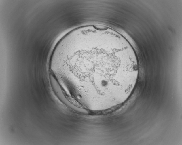 X0000112881004200910021349