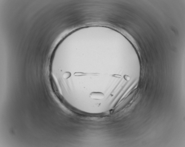 X0000112881005200910021349