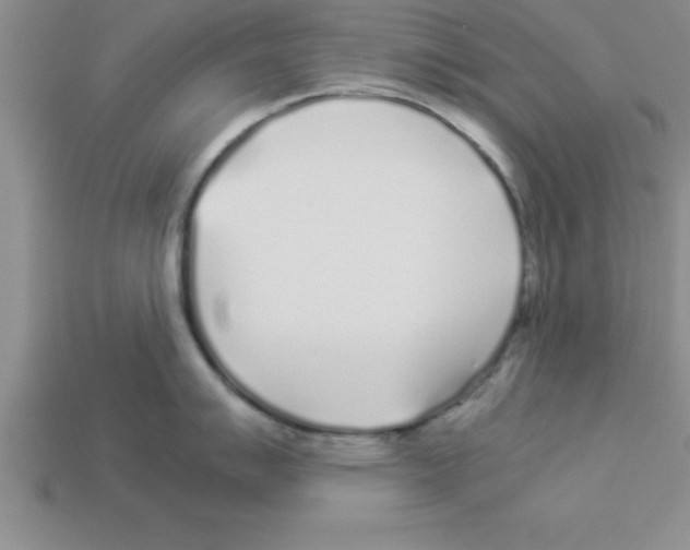 X0000112881007200910021349