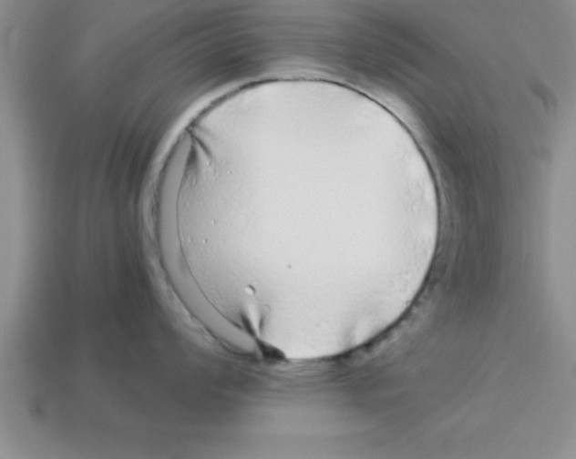 X0000112881008200910021349