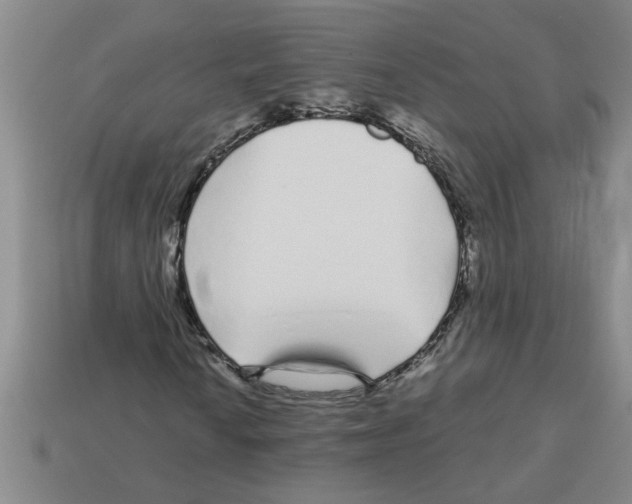 X0000112881010200910021349