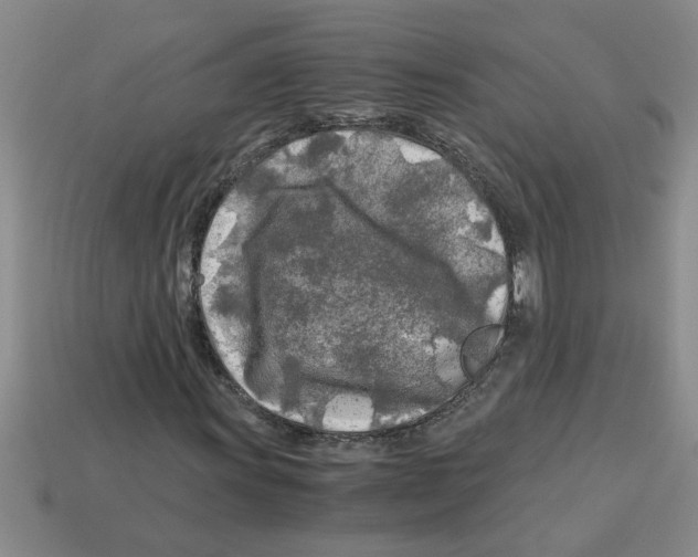 X0000112881011200910021349