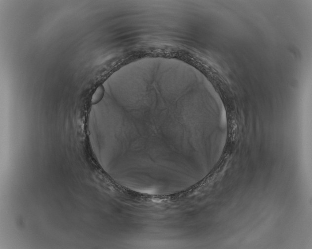 X0000112881013200910021349