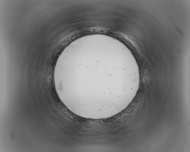 X0000112881015200910021349