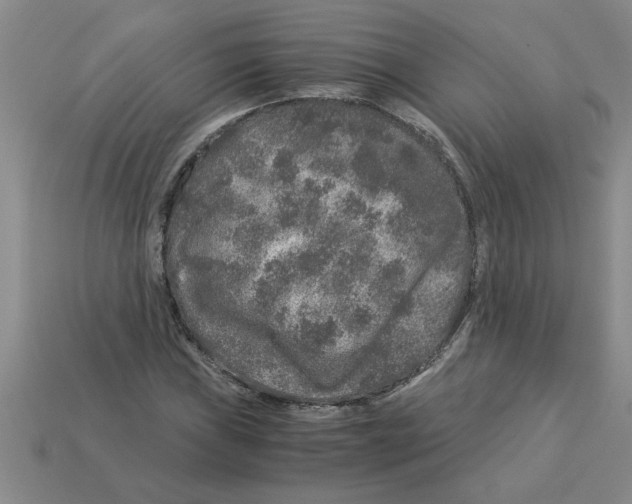 X0000112881019200910021349