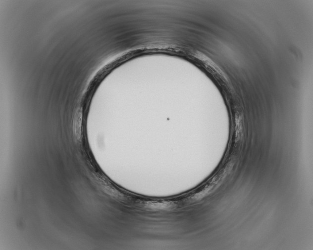 X0000112881021200910021349