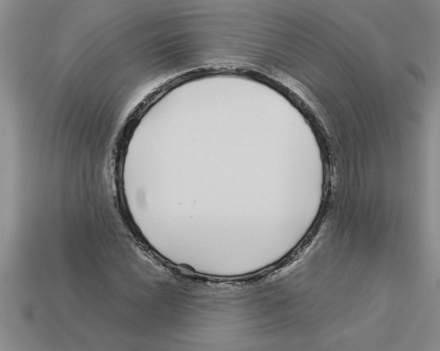 X0000112881022200910021349