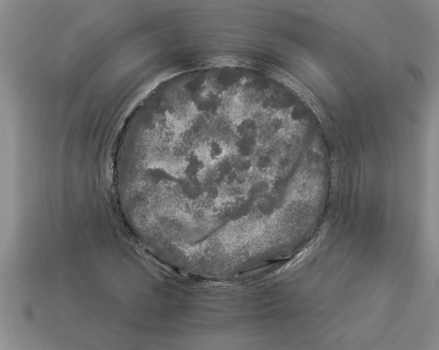 X0000112881023200910021349