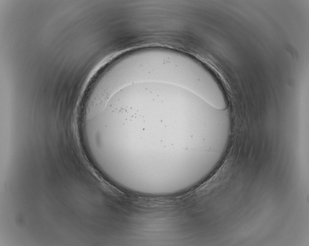 X0000112881024200910021349