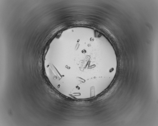 X0000112881025200910021349