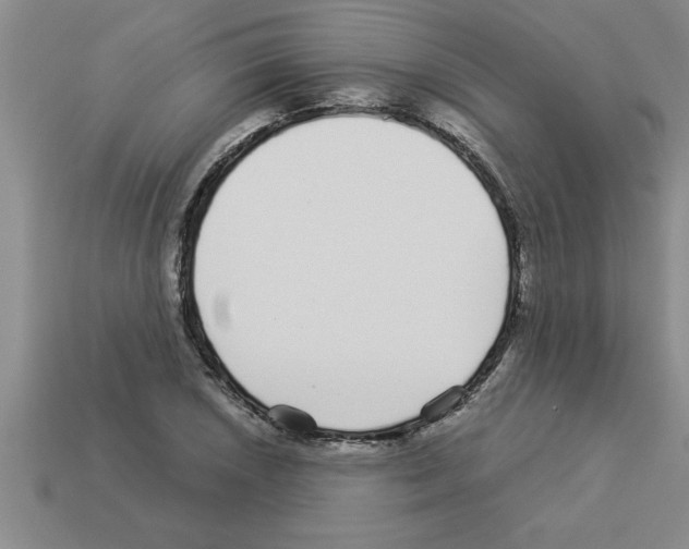 X0000112881026200910021349