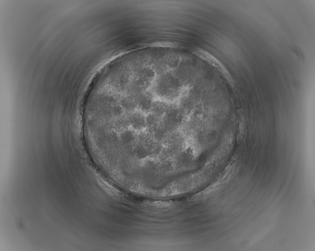 X0000112881027200910021349