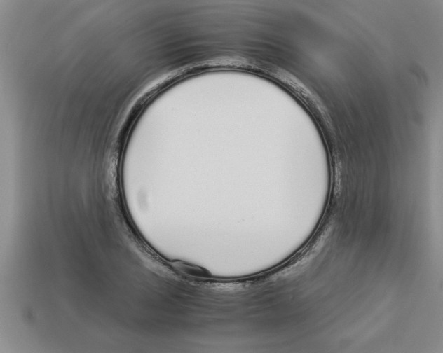 X0000112881029200910021349