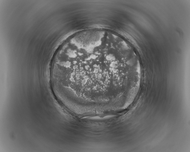 X0000112881031200910021349