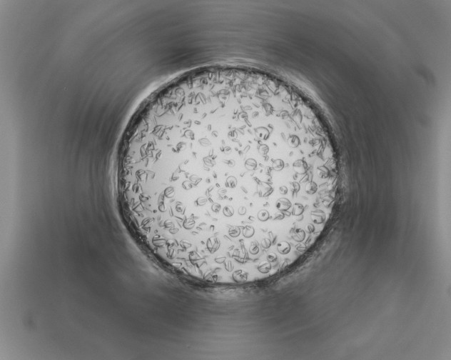 X0000112881032200910021349