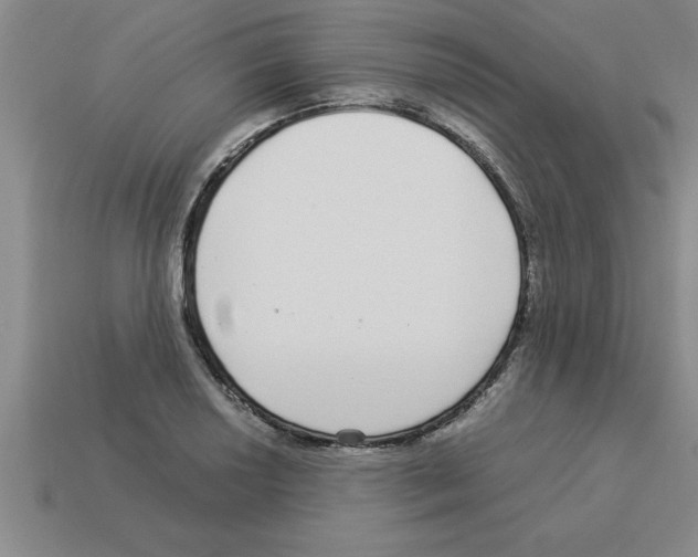 X0000112881034200910021349