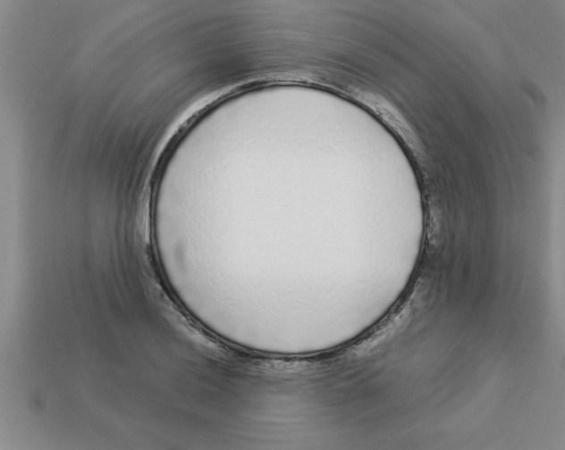 X0000112881036200910021349