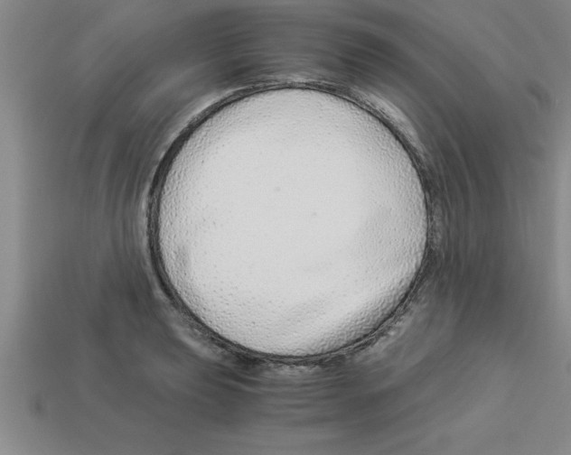 X0000112881039200910021349