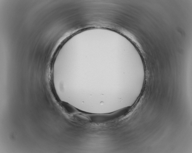 X0000112881040200910021349