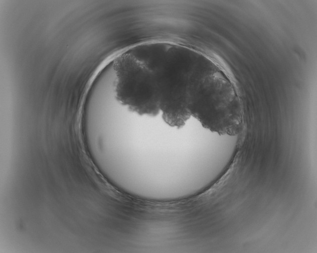 X0000112881044200910021349