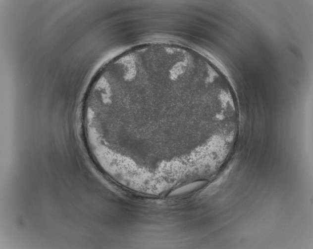 X0000112881045200910021349