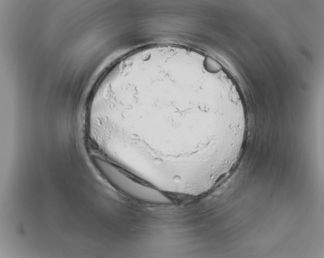 X0000112881048200910021349