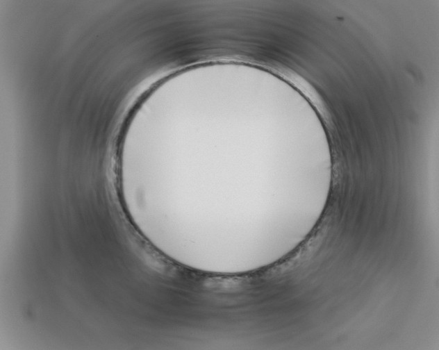 X0000112881051200910021349