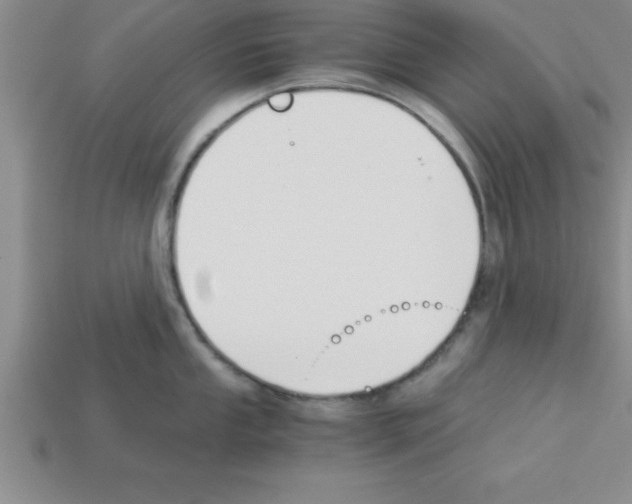 X0000112881053200910021349