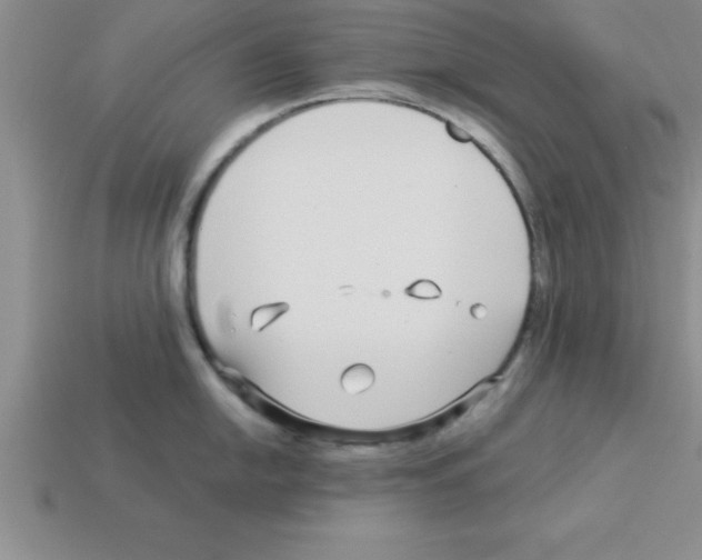 X0000112881054200910021349