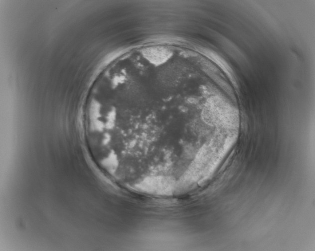 X0000112881055200910021349