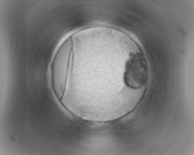 X0000112881056200910021349