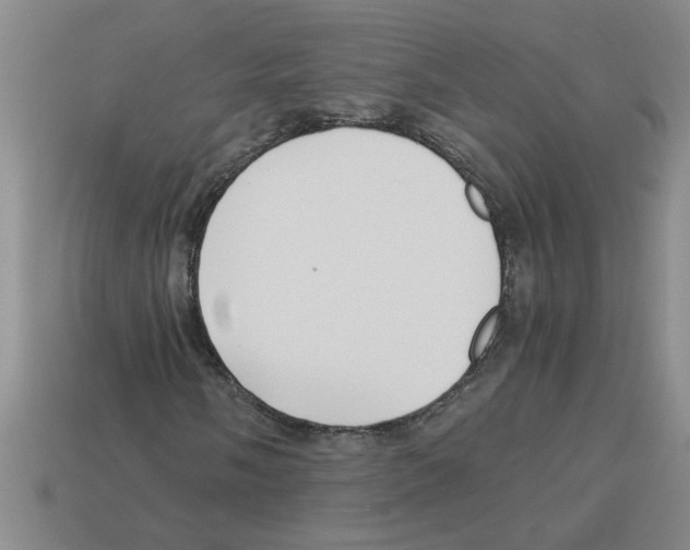 X0000112881058200910021349