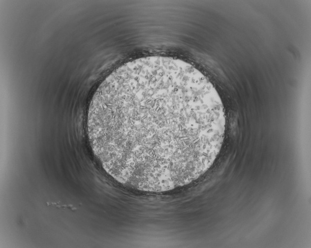 X0000112881060200910021349