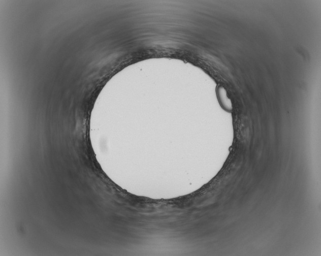 X0000112881061200910021349