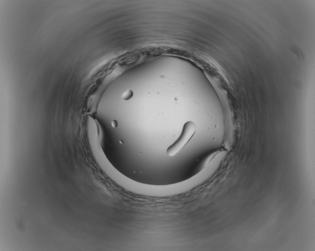 X0000112881064200910021349