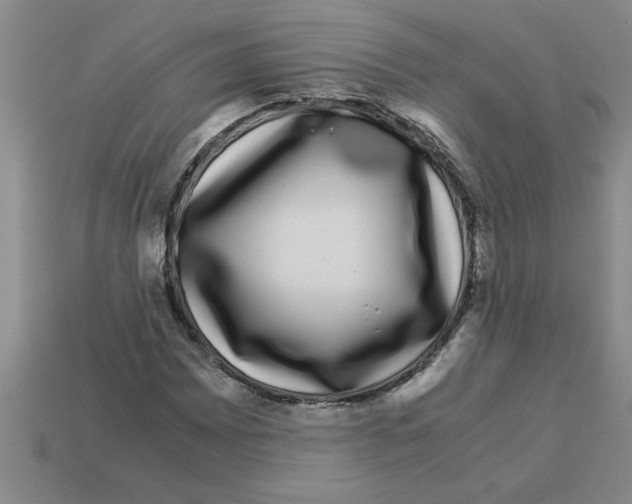 X0000112881065200910021349