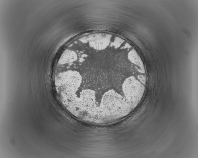 X0000112881071200910021348